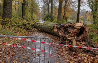 Drzewo przygniotło 61-letnią kobietę w parku Haffmans w Bilzen-Hoeselt – park zamknięty do odwołania, w poniedziałek pilne spotkanie w sprawie starych drzew